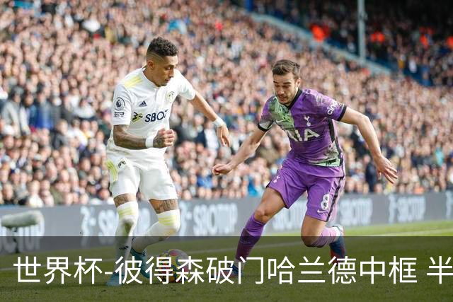 世界杯-彼得森破门哈兰德中框 半场挪威1-0塞内加尔