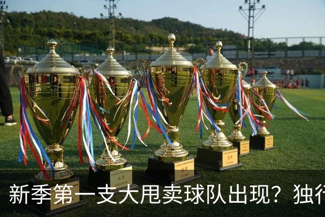 新季第一支大甩卖球队出现？独行侠换代克莱欧文都得走
